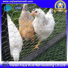 Anping Fábrica de suministro galvanizado Hexagonal Wire Net